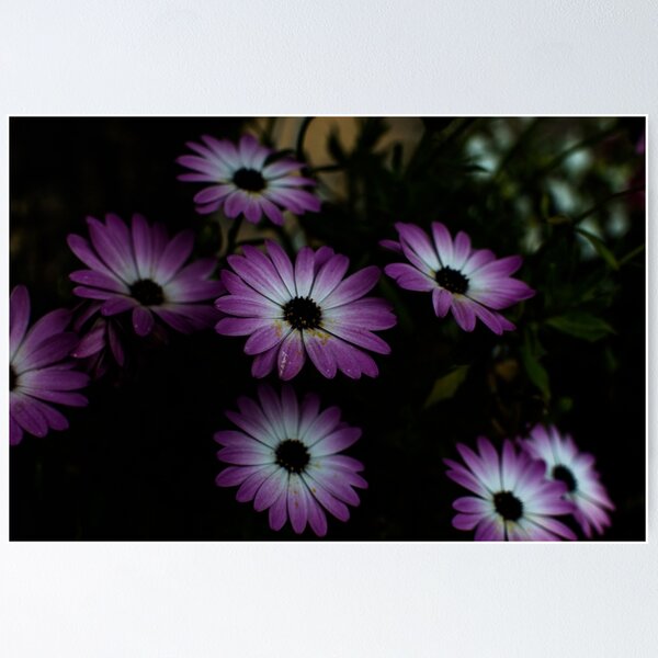 Item preview, Fall flower blooms designed and sold by CanadianWild418.
