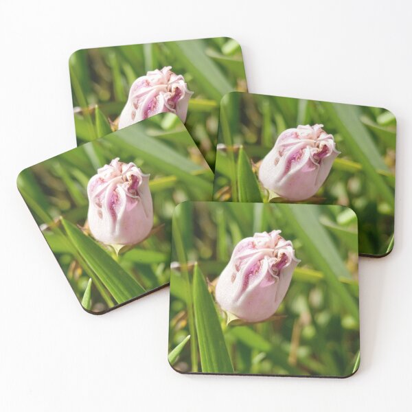 Item preview, Pink Flower Bud Kaleidoscope - Symmetrical Botanical Nature Pattern designed and sold by PicturePick.