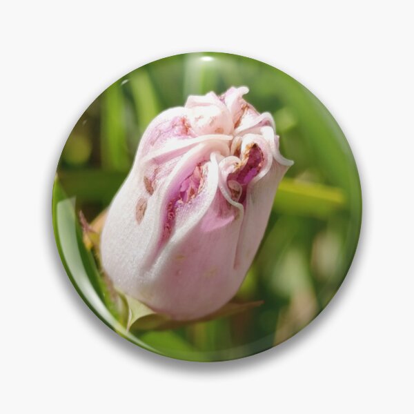 Item preview, Pink Flower Bud Kaleidoscope - Symmetrical Botanical Nature Pattern designed and sold by PicturePick.