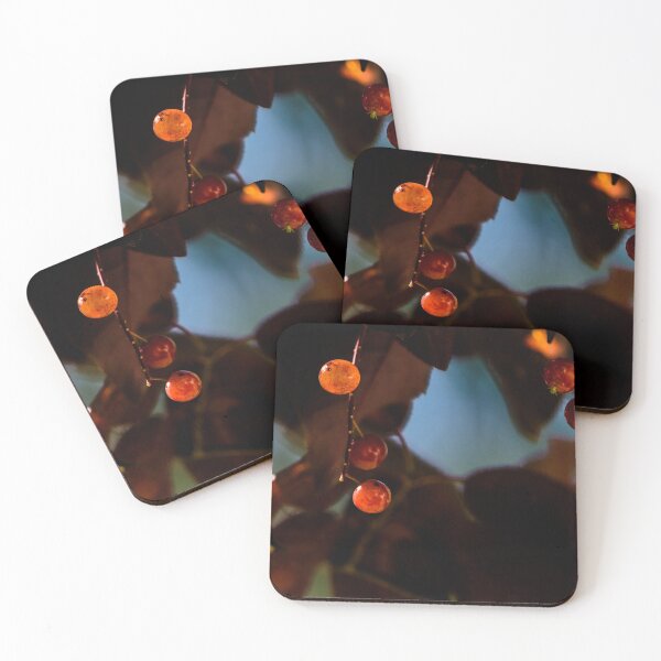 Item preview, Berries hanging on a tree in the fall designed and sold by CanadianWild418.