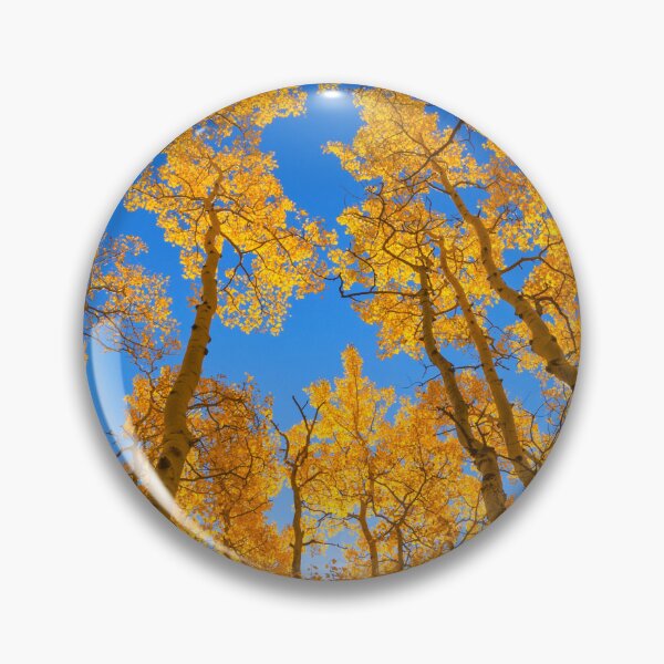 Item preview, The treetops designed and sold by KNBS.