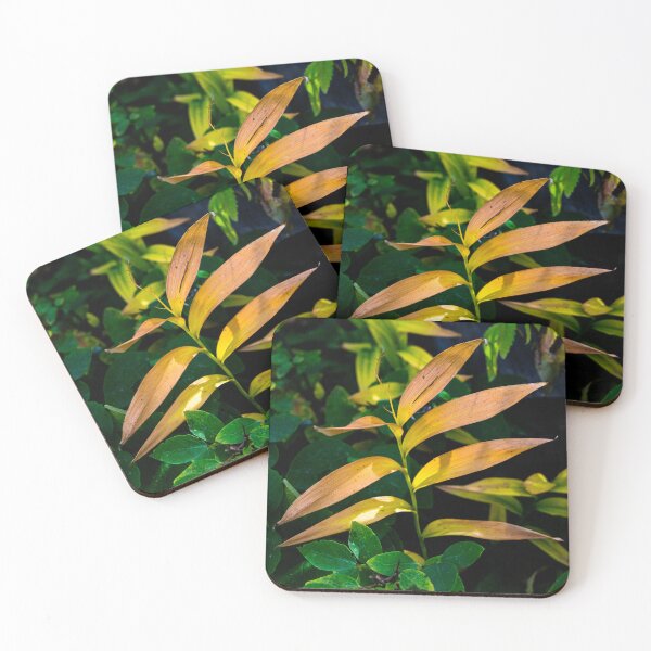 Item preview, Fall plant life designed and sold by CanadianWild418.