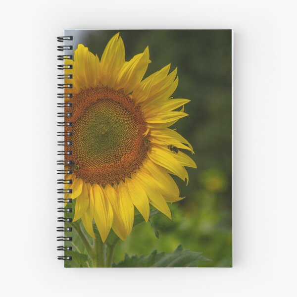 Item preview, A Sunflower designed and sold by Darrell Kroulik.