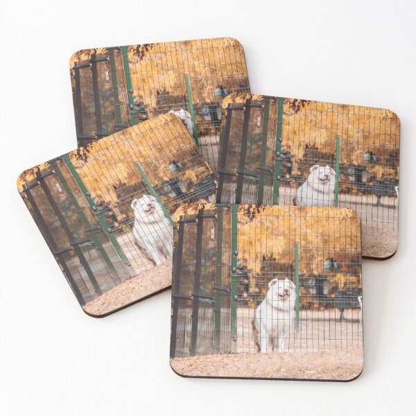 Item preview, The Autumn Watchdog – Golden Hour Dog Portrait designed and sold by JoChrRand.
