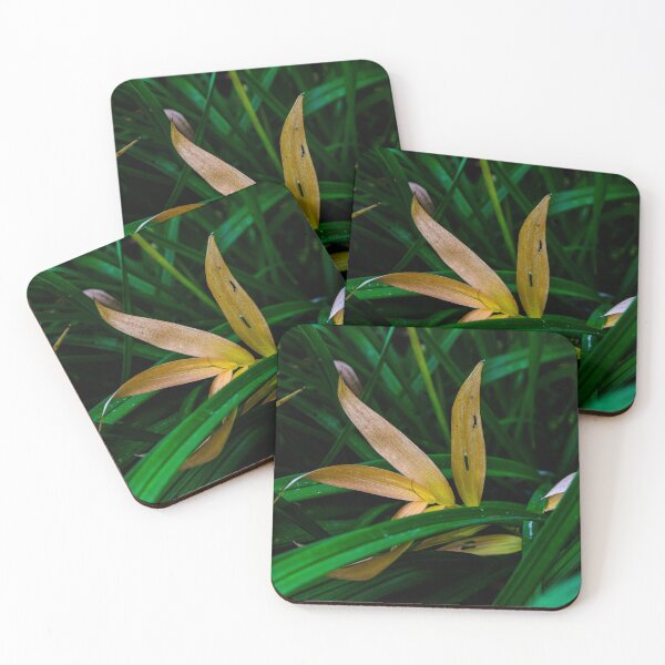 Item preview, Fall plants designed and sold by CanadianWild418.