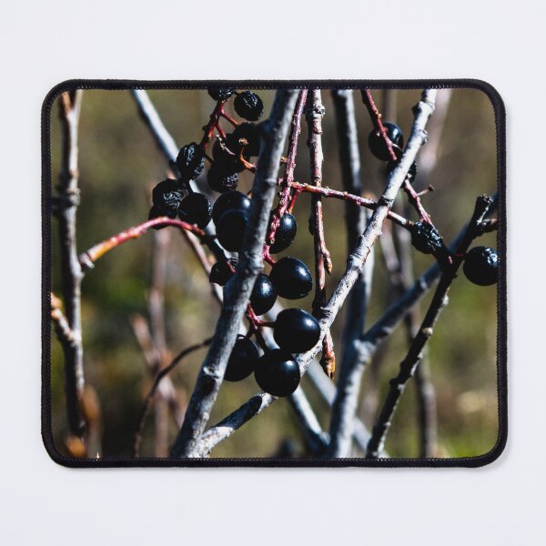 Item preview, Berries hanging on a bush designed and sold by CanadianWild418.