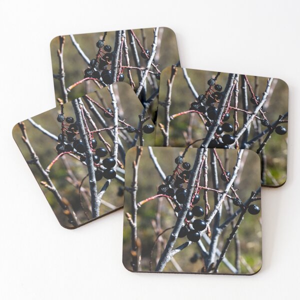 Item preview, Berries hanging on a bush designed and sold by CanadianWild418.