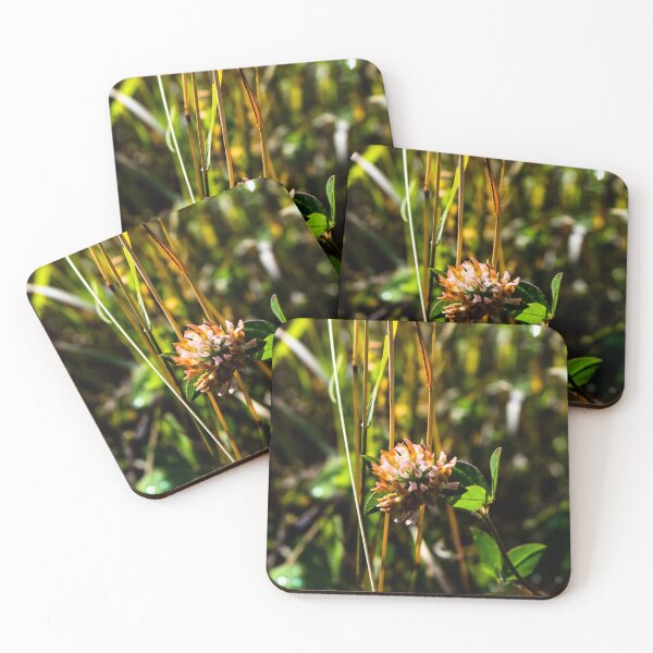 Item preview, Fall plants designed and sold by CanadianWild418.