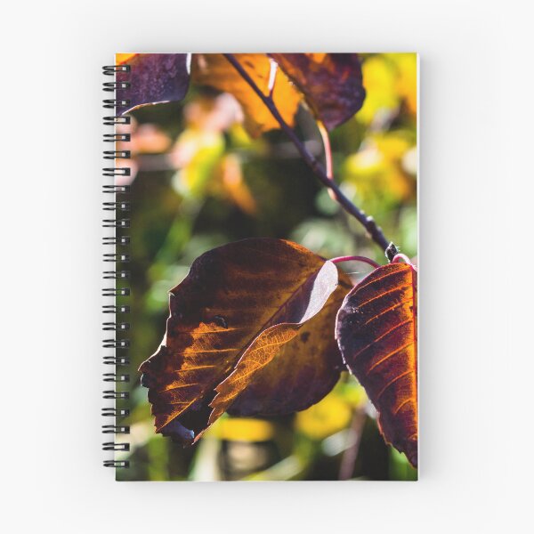 Item preview, Fall plants designed and sold by CanadianWild418.