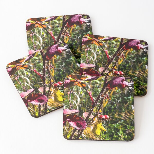 Item preview, Fall plants designed and sold by CanadianWild418.