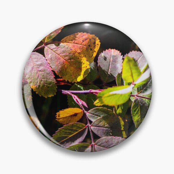 Item preview, fall plant colours designed and sold by CanadianWild418.