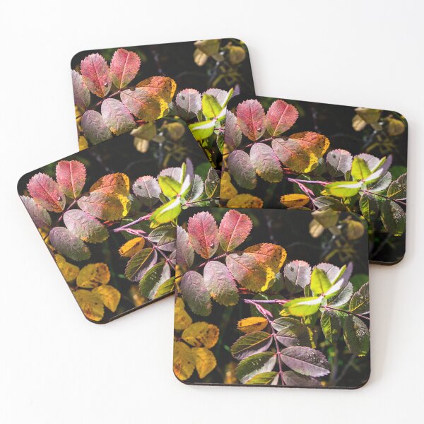 Item preview, fall plant colours designed and sold by CanadianWild418.