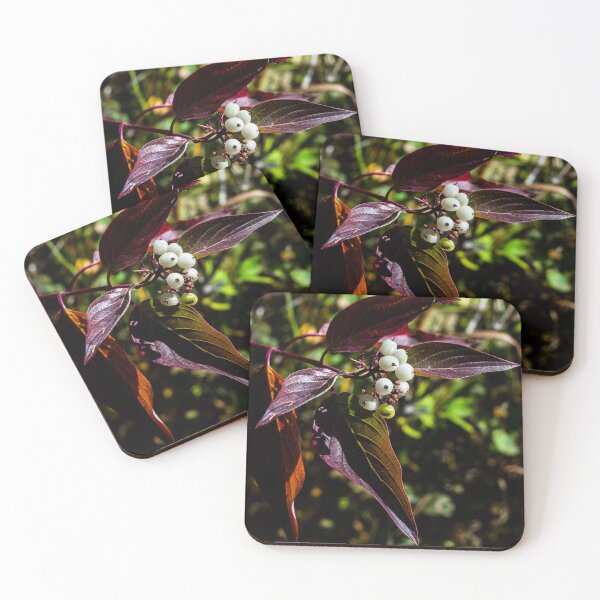 Item preview, fall plant colours designed and sold by CanadianWild418.