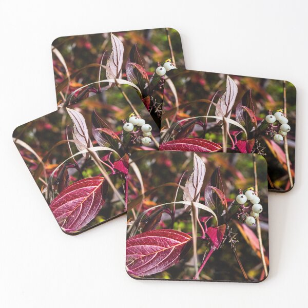Item preview, fall plant colours designed and sold by CanadianWild418.