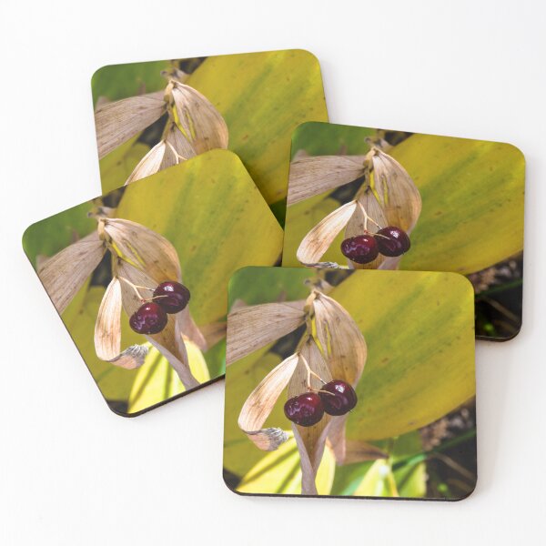 Item preview, fall plant colours designed and sold by CanadianWild418.