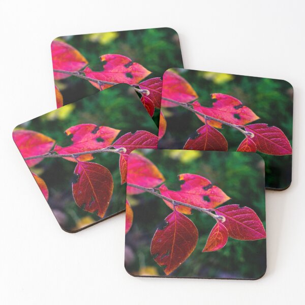 Item preview, fall plant colours designed and sold by CanadianWild418.