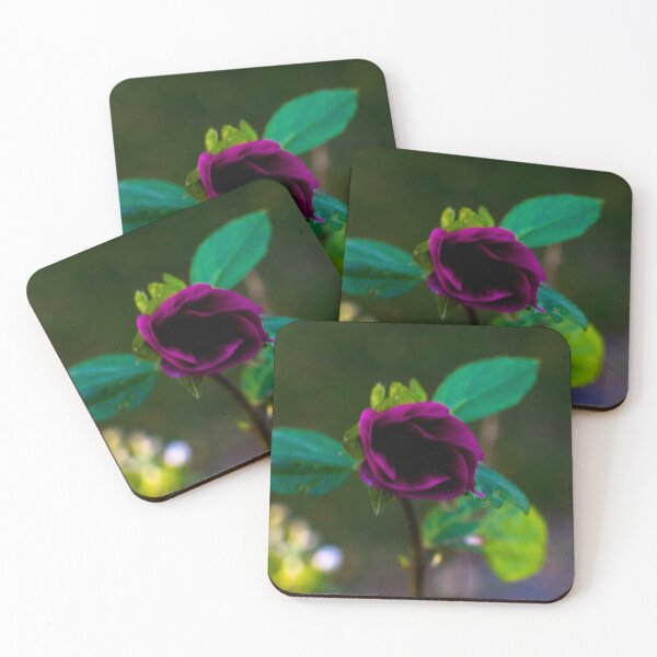 Item preview, Fall flower blooms designed and sold by CanadianWild418.