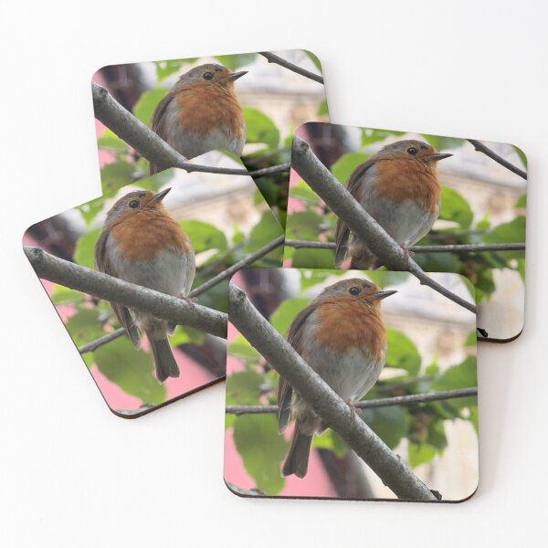 Item preview, Vibrant European Robin Close-up designed and sold by Astute-Artio-Photography.