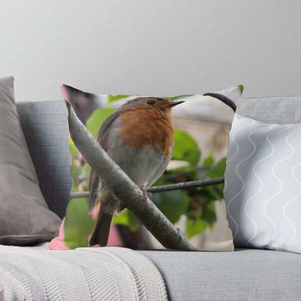 Item preview, Vibrant European Robin Close-up designed and sold by Astute-Artio-Photography.