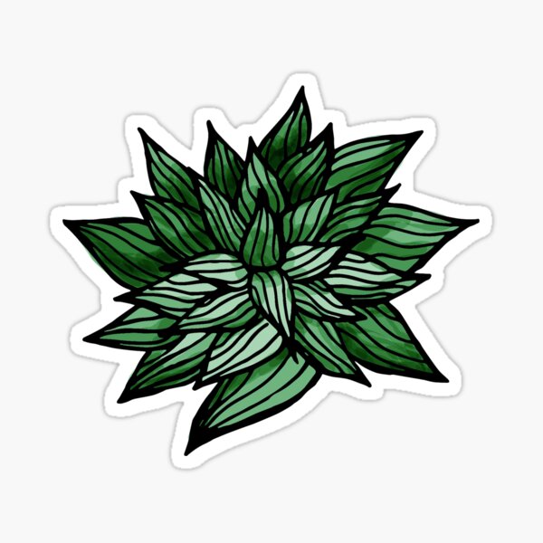 Succulent Sticker