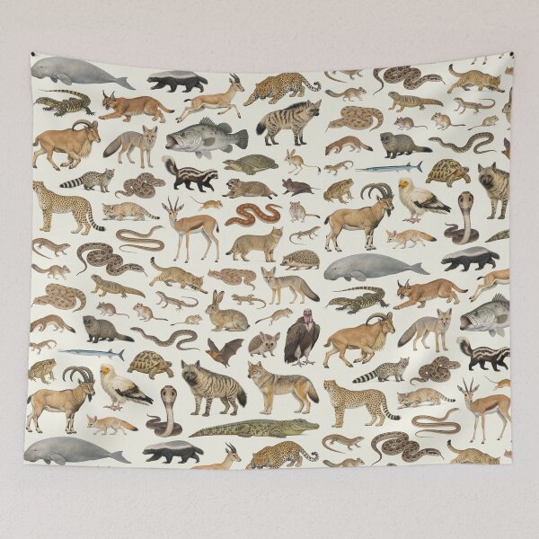 Item preview, Native Animals of Egypt Wildlife Identification Chart designed and sold by kakarikihill.