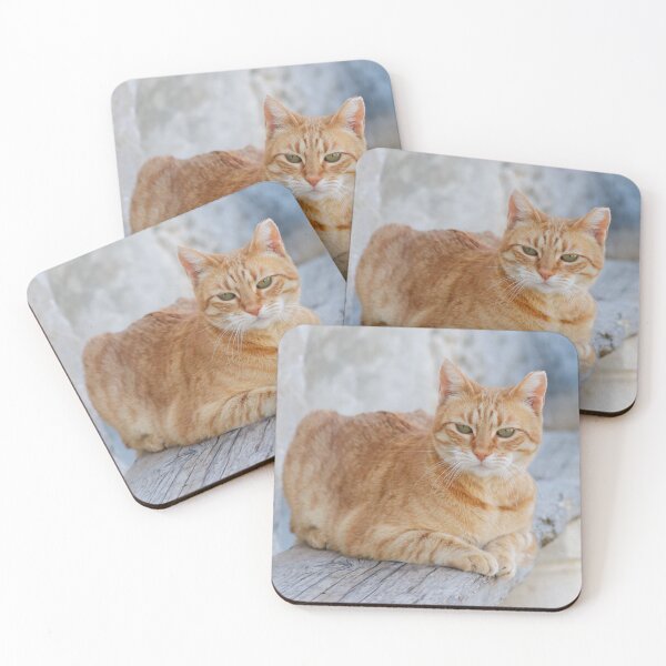 Item preview, Harbour cat designed and sold by GreyFeatherPhot.