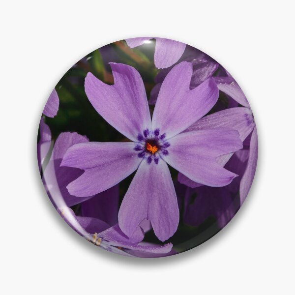 Artikelvorschau, Und auch dir einen Moos-Phlox! entworfen und verkauft von Eidetic Photos.