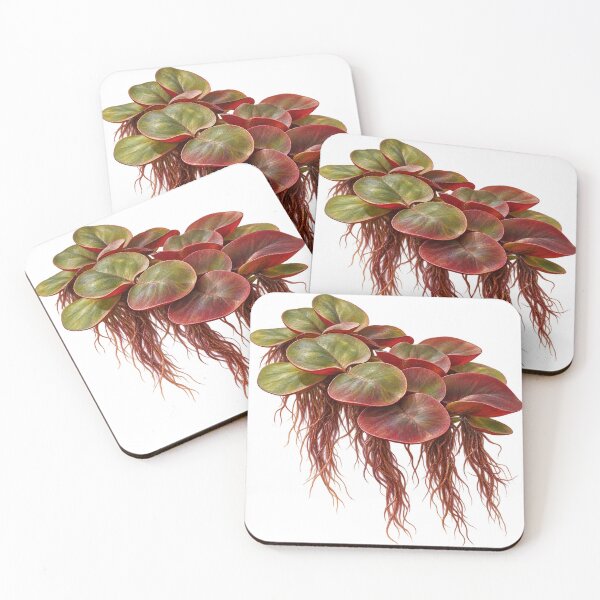 Item preview, Phyllanthus Fluitans Floating Leaves Botanical Portrait designed and sold by Ocelot-T.