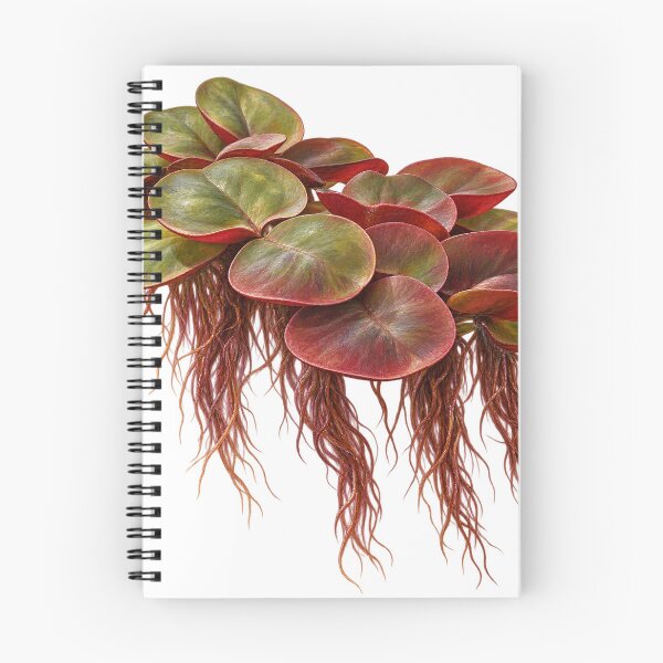 Item preview, Phyllanthus Fluitans Floating Leaves Botanical Portrait designed and sold by Ocelot-T.