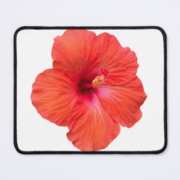 Item preview, hibiscus 1 designed and sold by arbypoorab.
