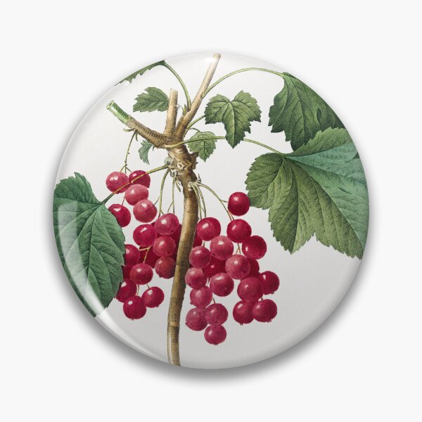 Item preview, Red Currant from Choix des plus belles fleurs (1827) by Pierre-Joseph Redouté. designed and sold by AngyDesigns49.
