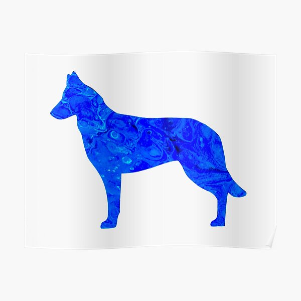 Posters Sur Le Theme Belgian Malinois Redbubble