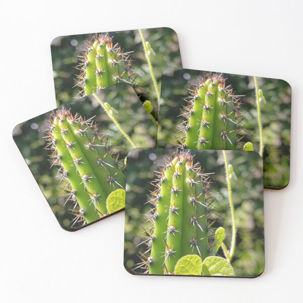 Item preview, Cactus & Heart Leaf Symmetry - Botanical Kaleidoscope Pattern designed and sold by PicturePick.