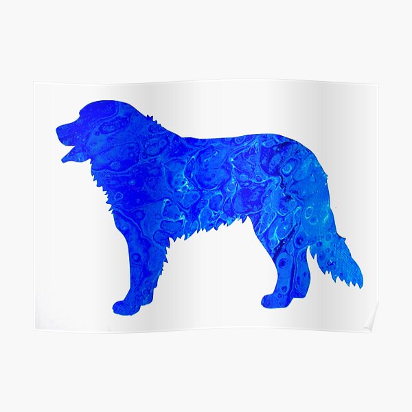 Bernese Mountain Dog - BMD Poster