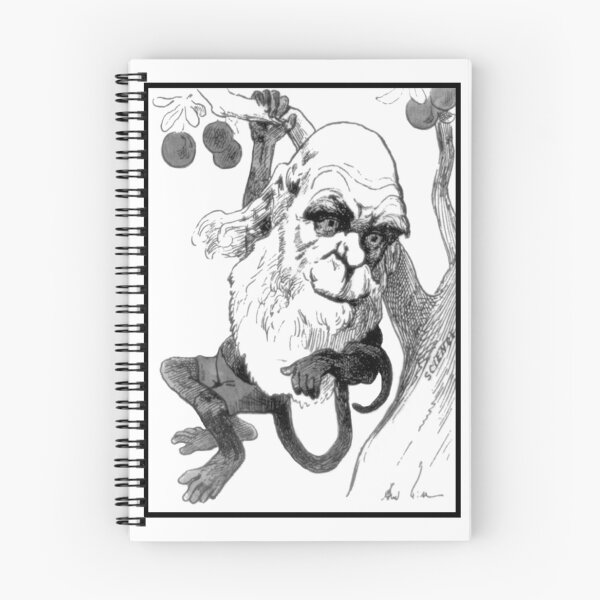 Item preview, Charles Darwin, English Naturalist designed and sold by ScienceSource.