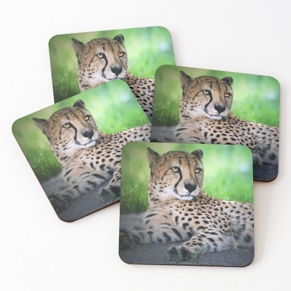 Item preview, Cheetah Resting on Grassy Ground designed and sold by Savannah Gibbs.