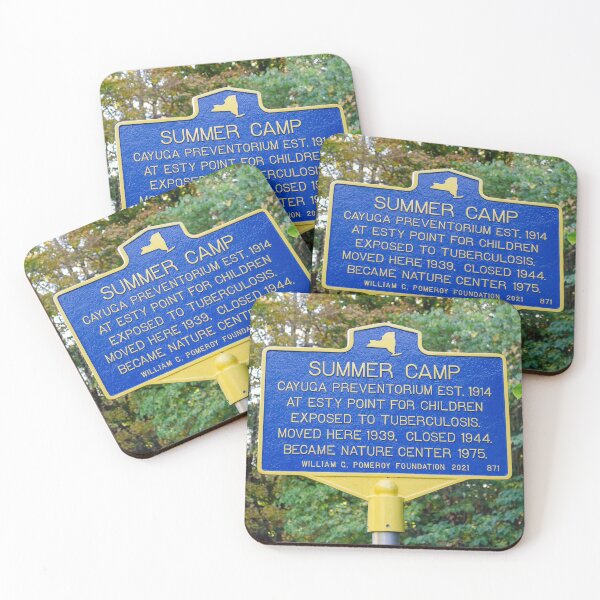 Item preview, Summer Camp New York designed and sold by larissamae.