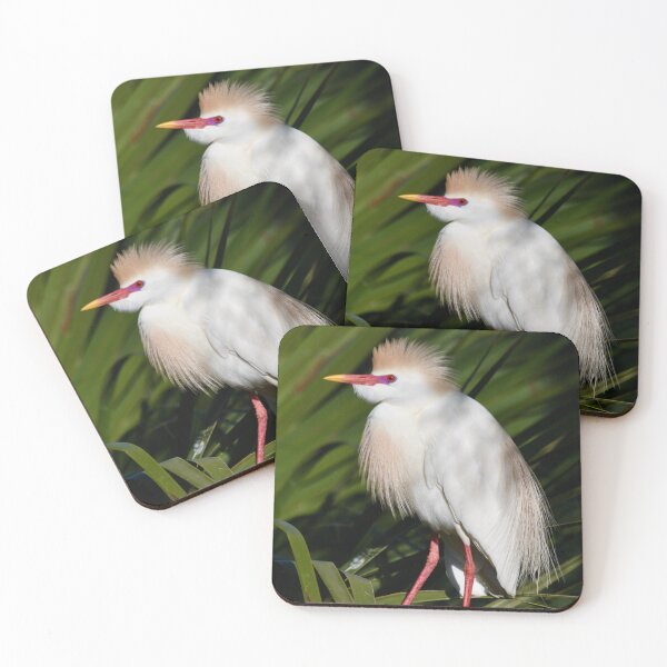 Item preview, Cattle Egret in Mating Season designed and sold by richardbryce.