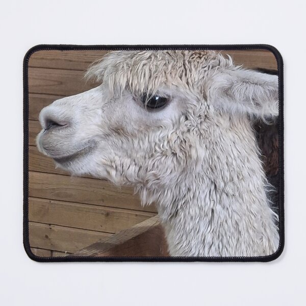Item preview, alpaca designed and sold by CJ Art & Photography .
