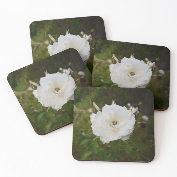 Item preview, Raindrops On A White Rose designed and sold by NilCaelum aka TJPhotography.