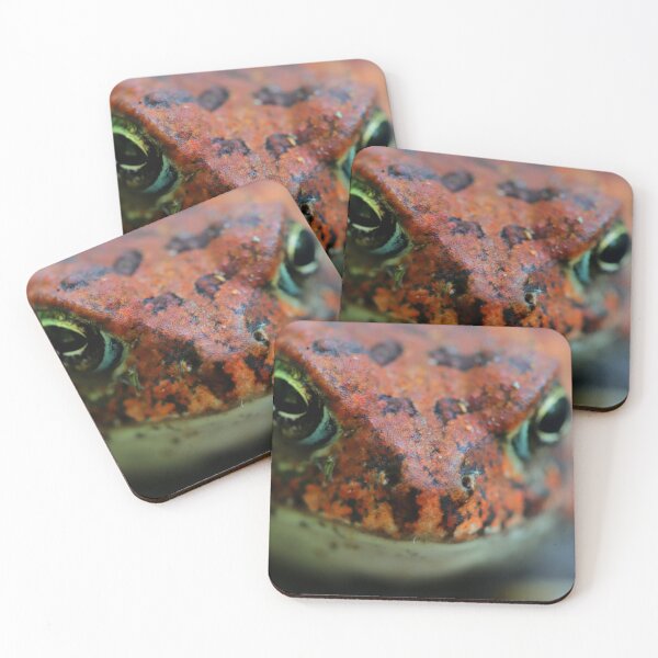 Item preview, Toadie designed and sold by Parks and X.