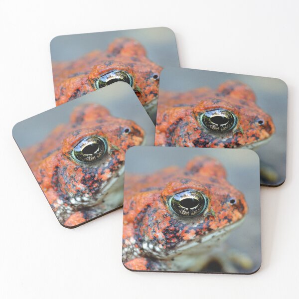 Item preview, Toad designed and sold by Parks and X.