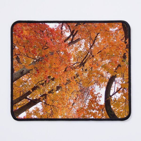 Item preview, Autumn Foliage  designed and sold by Amanda1775.