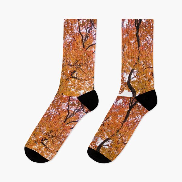 Item preview, Autumn Foliage  designed and sold by Amanda1775.