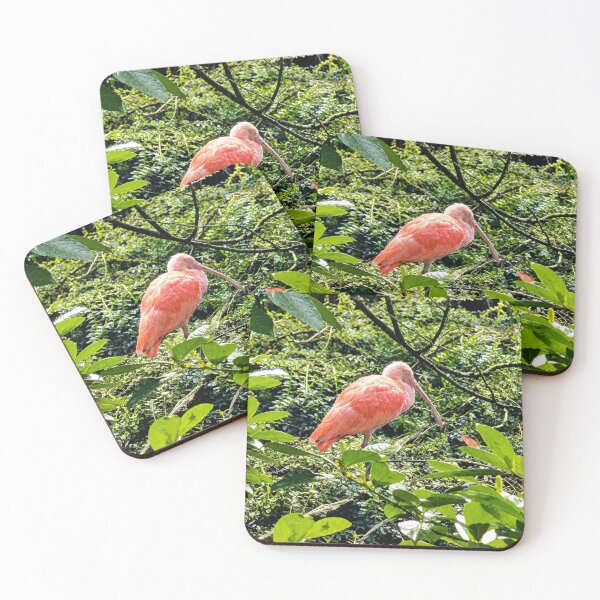 Item preview, Scarlet Ibis Amidst Tropical Foliage designed and sold by Astute-Artio-Photography.