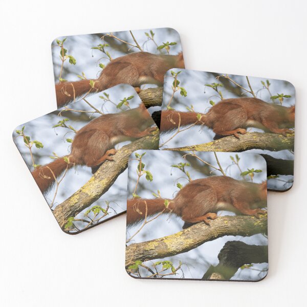 Item preview, Squirrel Nature Lover Wildlife Enthusiast designed and sold by GarrickHawke.