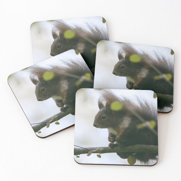 Item preview, Red Squirrel Wildlife Animal Nature Lover designed and sold by GarrickHawke.