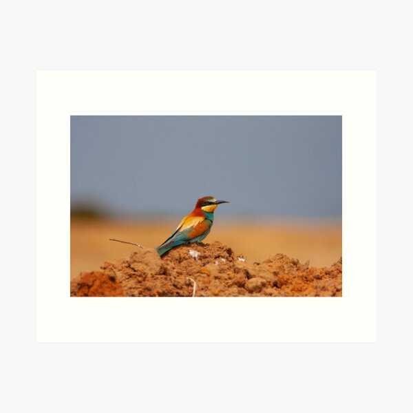 Item preview, European Bee-eater Perched on a Red Earth Mound designed and sold by Cole's Design.