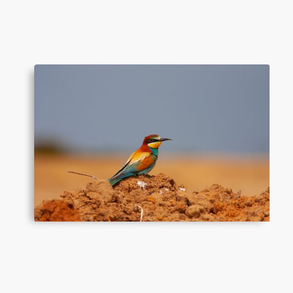 Item preview, European Bee-eater Perched on a Red Earth Mound designed and sold by Cole's Design.