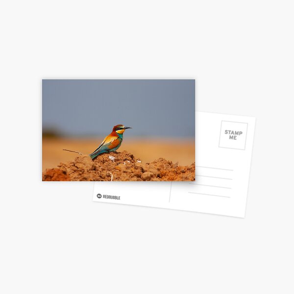 Item preview, European Bee-eater Perched on a Red Earth Mound designed and sold by Cole's Design.